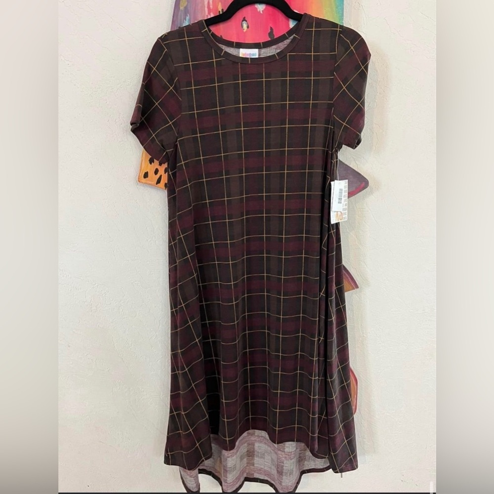 LuLaRoe Carly Swing Dress